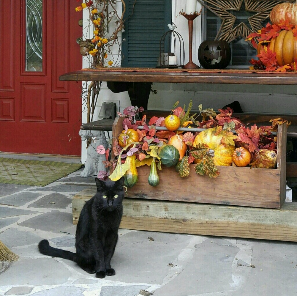 Meet your Posher, Michelle